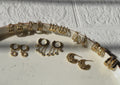 18k Plated stainless steels Earings